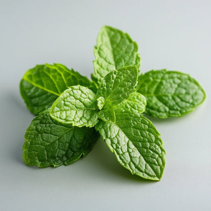 Extra Resistente: Spearmint Senza Zucchero, 60 Pezzi (162 g) – Gomma Dura | Rigidità Shore Specifica per la Crescita della Mandibola
